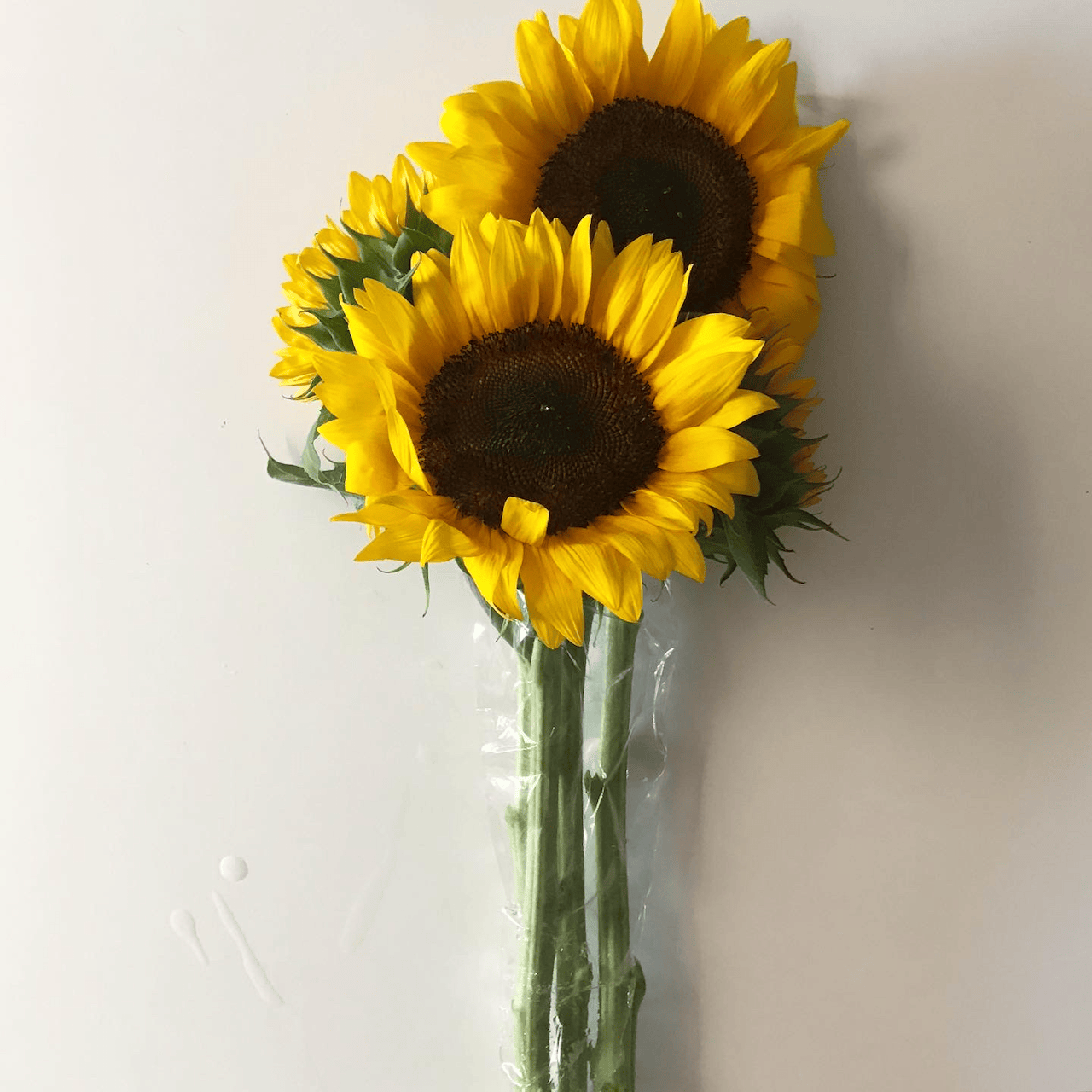 Sunflower Bouquet