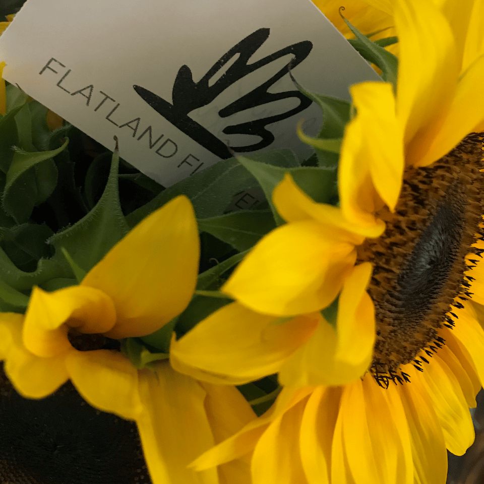Sunflower Bouquet